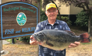 Bill Evans holding his record largemouth bass he caught on August 8, 2016 - breaking an almost 40 year Washington record. 