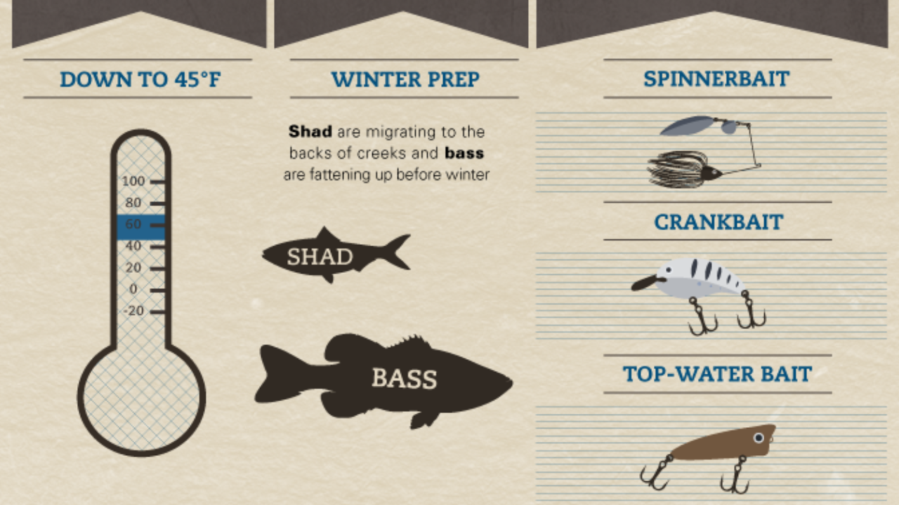 Snacks for Bass, Largemouth Bass Habits and Behaviors