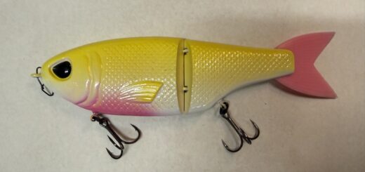 Throwback Glide bait for largemouth bass fishing