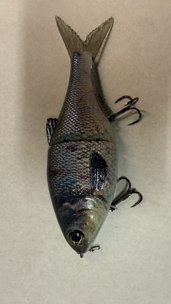 Large glide bait for targeting largemouth bass