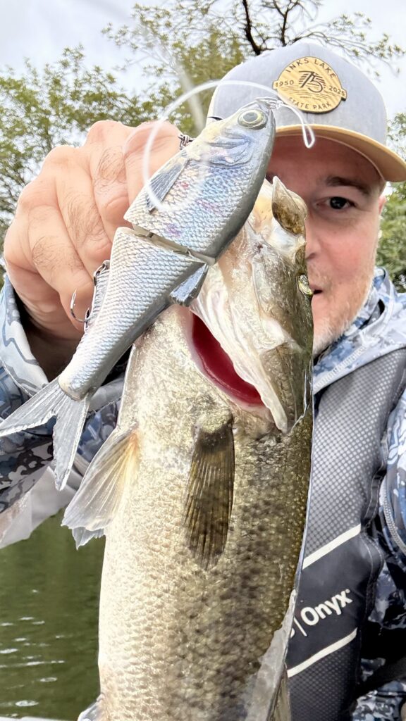 Glide bait used for largemouth bass fishing
